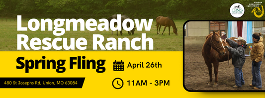 Spring Fling at Longmeadow Rescue Ranch: A Day of Fun, Horses, and Hope