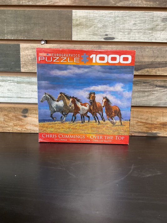 USED  Puzzle 1000 Piece
